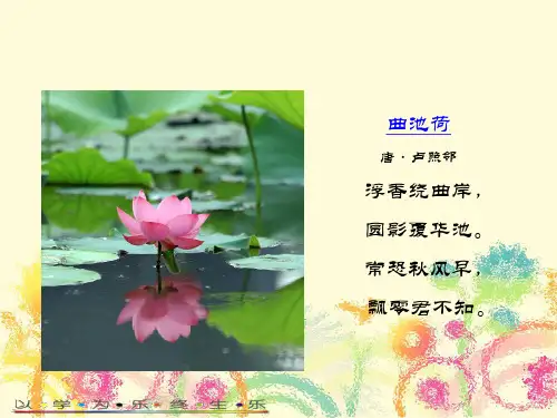 10新弘乐阅读理解第十课  说明文的阅读