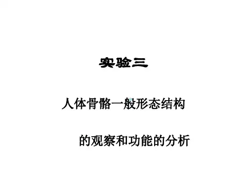 实验三人体骨骼以及青蛙骨骼标本制作