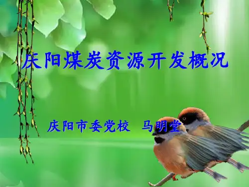 庆阳煤炭开发几点思考