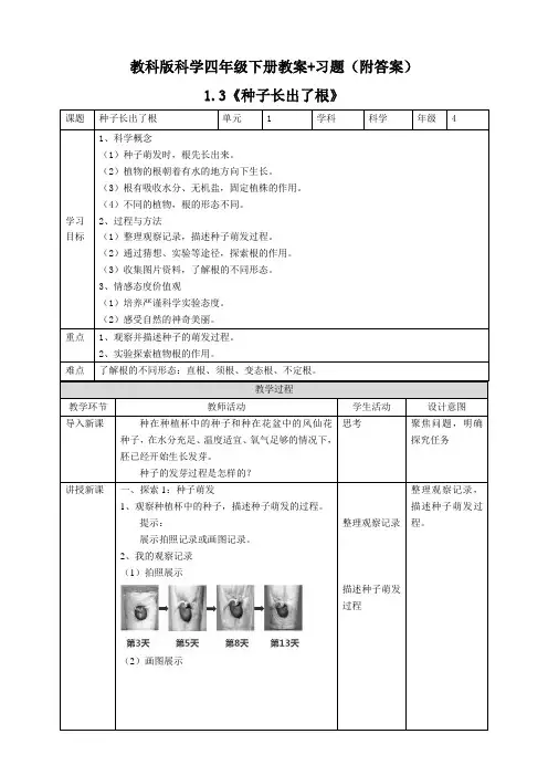 《种子长出了根》教案+习题【科学四年级下册教科版】