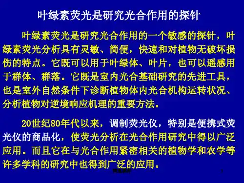 叶绿素荧光是光合作用研究的探针