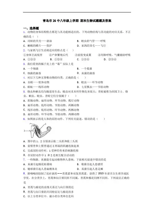 青岛市26中八年级上学期 期末生物试题题及答案