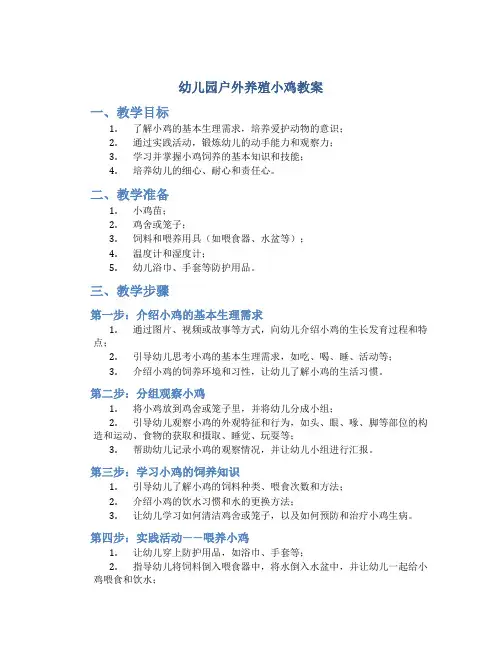 幼儿园户外养殖小鸡教案
