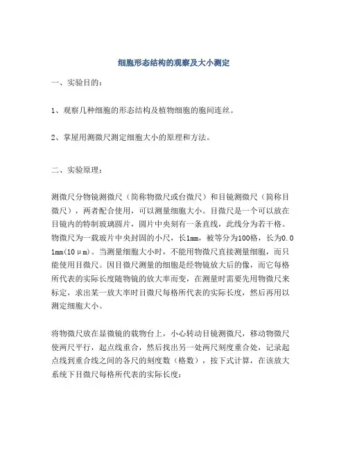 细胞形态结构的观察及大小测定