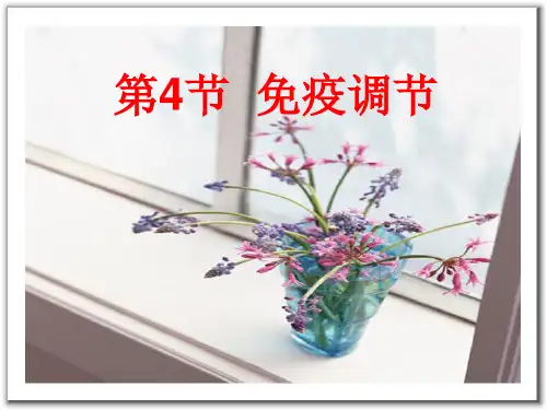 免疫调节(PPT)
