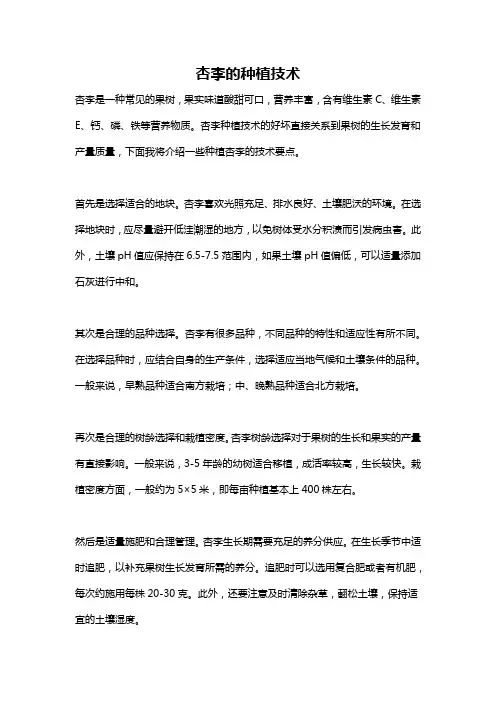 杏李的种植技术