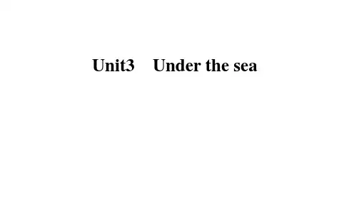 Unit3Under the sea重点词汇