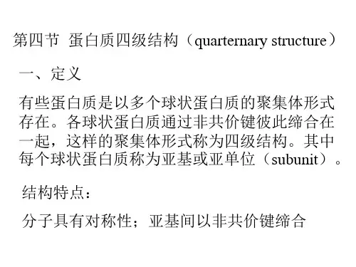 生物化学—蛋白质四级结构精选全文完整版