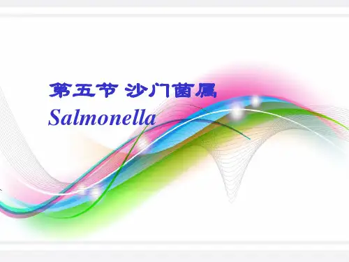 临床微生物学检验：第五节 沙门菌属