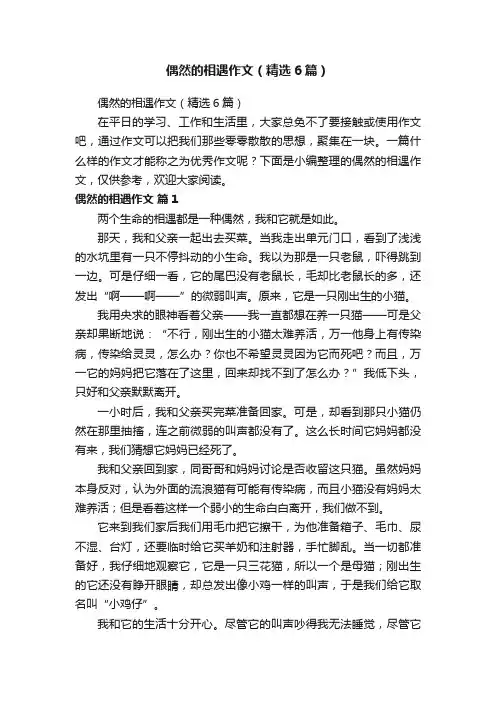偶然的相遇作文（精选6篇） 2