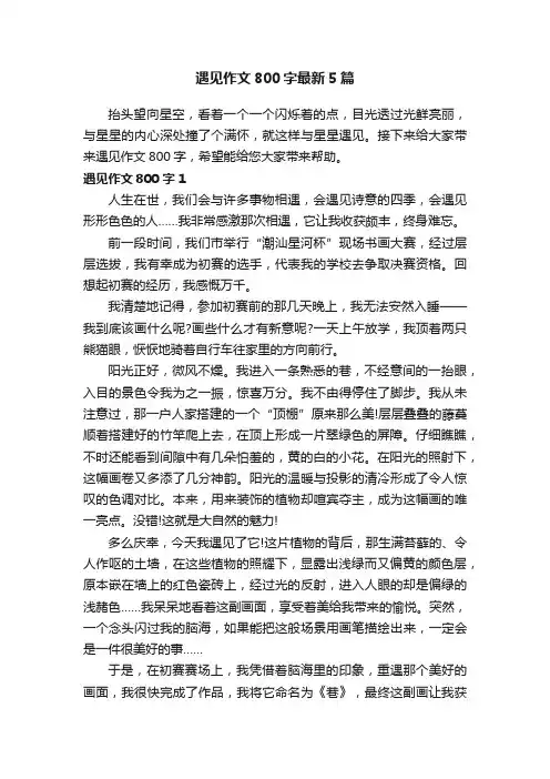 遇见作文800字最新5篇