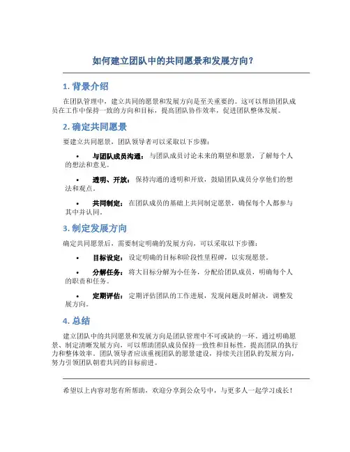 如何建立团队中的共同愿景和发展方向？