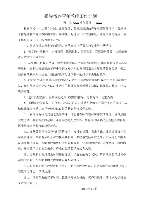 指导培养青年教师工作计划1
