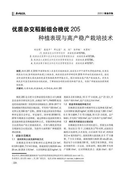 优质杂交稻新组合桃优205种植表现与高产稳产栽培技术