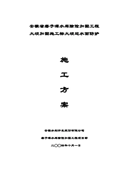大坝迎水面防护工程施工方案