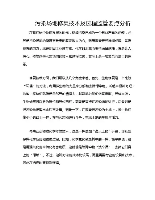 污染场地修复技术及过程监管要点分析