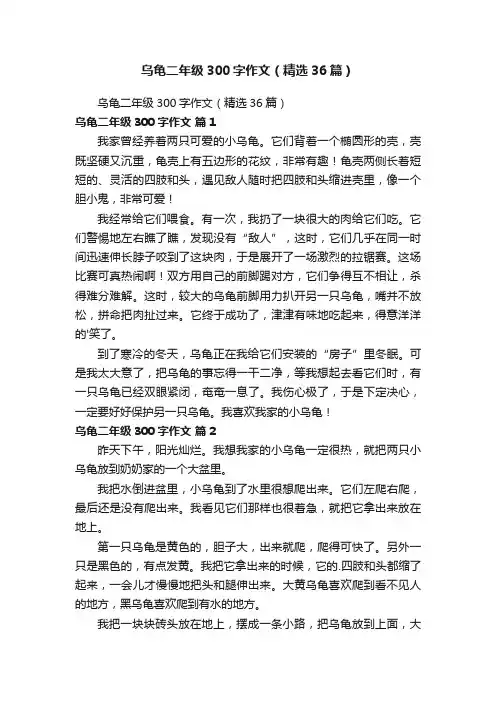 乌龟二年级300字作文（精选36篇）