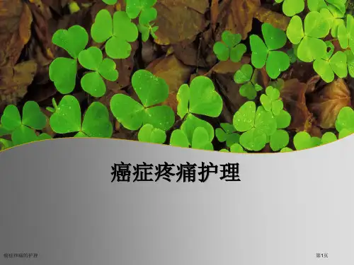 癌症疼痛的护理专家讲座