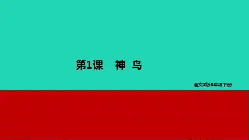 五年级语文下册第一单元1神鸟教学课件语文S版