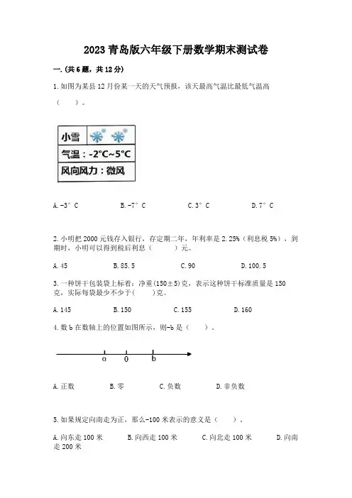 2023青岛版六年级下册数学期末测试卷精品含答案
