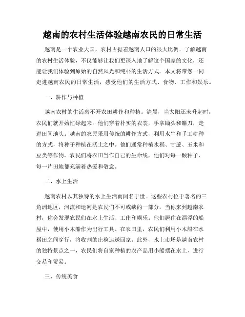 越南的农村生活体验越南农民的日常生活