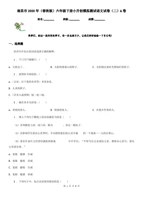 南昌市2020年(春秋版)六年级下册小升初模拟测试语文试卷(二)A卷