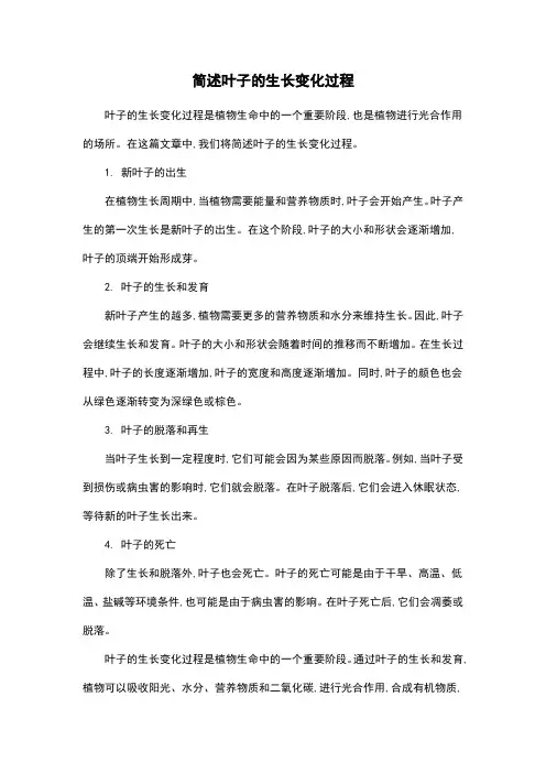 简述叶子的生长变化过程