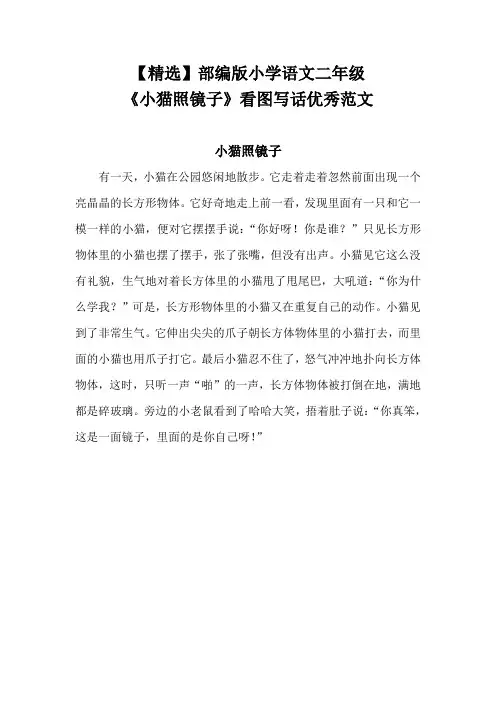 【精选】部编版小学语文二年级《小猫照镜子》看图写话优秀范文