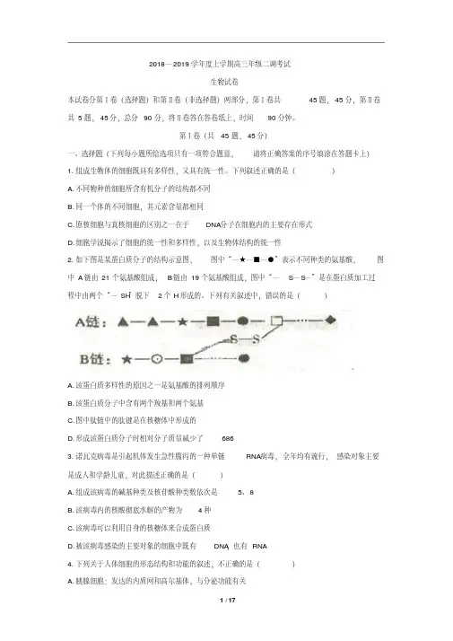 河北省衡水中学2019届高三上学期二调考试生物试题(含详细答案)