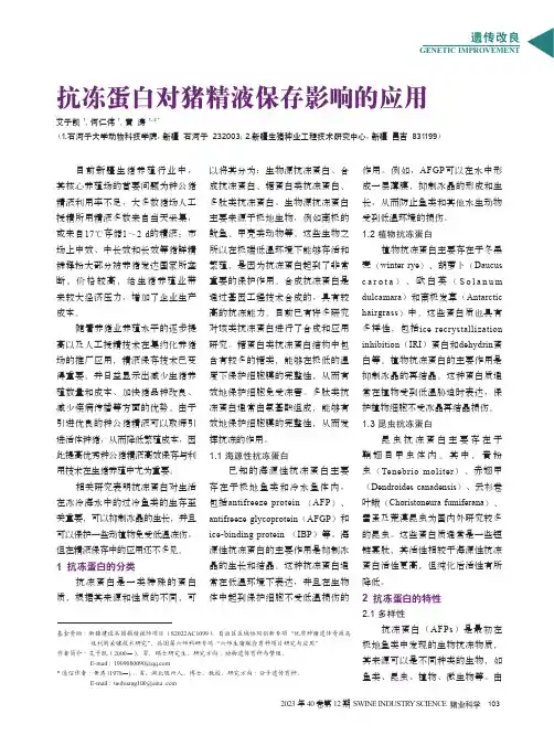 抗冻蛋白对猪精液保存影响的应用