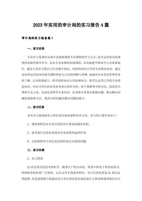 2023年实用的审计局的实习报告4篇_1