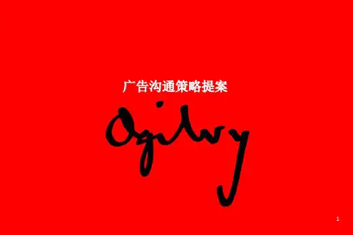 广告沟通策略.pptx
