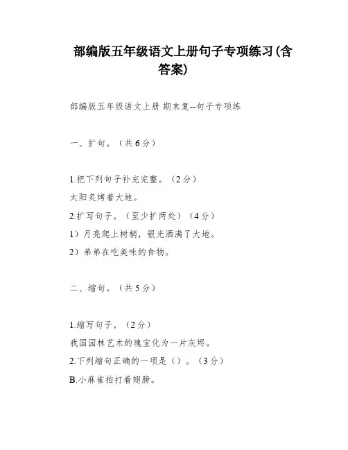 部编版五年级语文上册句子专项练习(含答案)