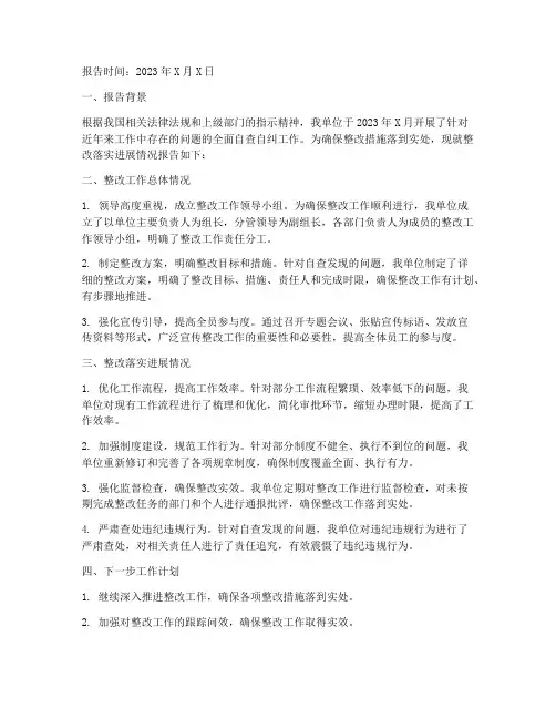 整改落实进展情况报告