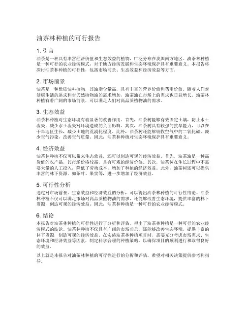 油茶林种植的可行报告