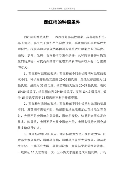 西红柿的种植条件