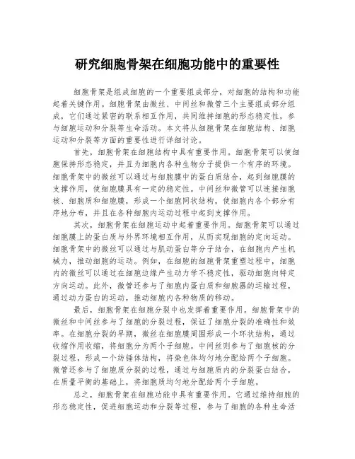 研究细胞骨架在细胞功能中的重要性