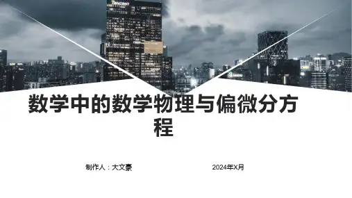 数学中的数学物理与偏微分方程