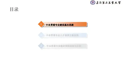 中本贯通专业建设-上海第二工业大学(李宁)