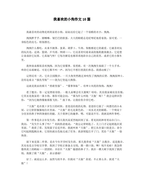 我喜欢的小狗作文10篇