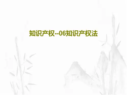 知识产权--06知识产权法80页PPT