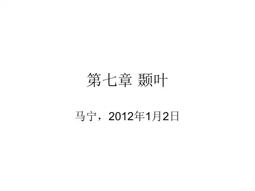 神经心理学_颞叶