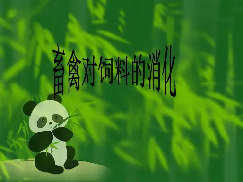 第二节 畜禽对饲料的消化