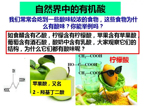 人教版-化学选修五羧酸酯课ppt课件1