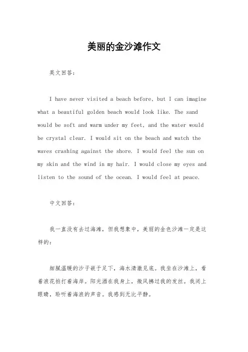 美丽的金沙滩作文