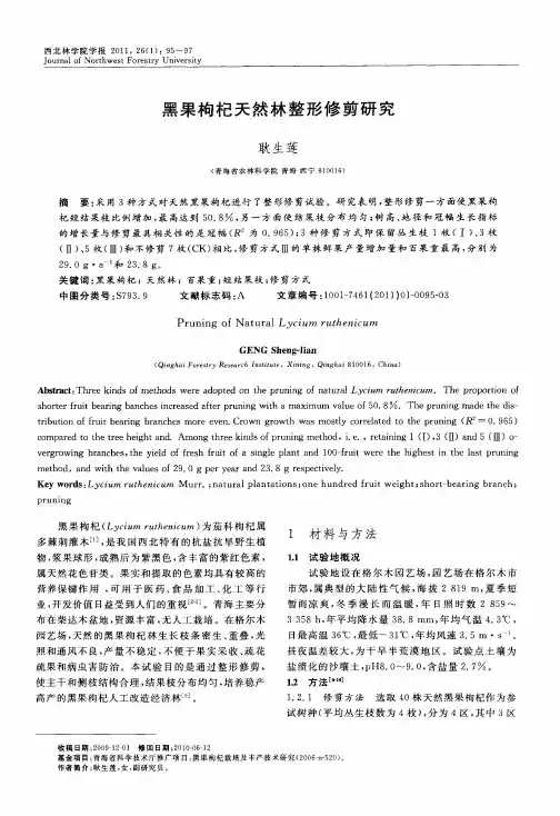 黑果枸杞天然林整形修剪研究