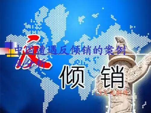 反倾销案例