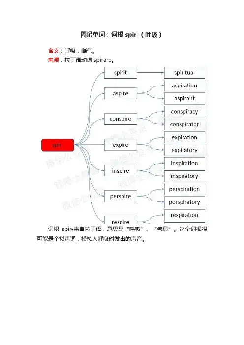 图记单词：词根spir-（呼吸）