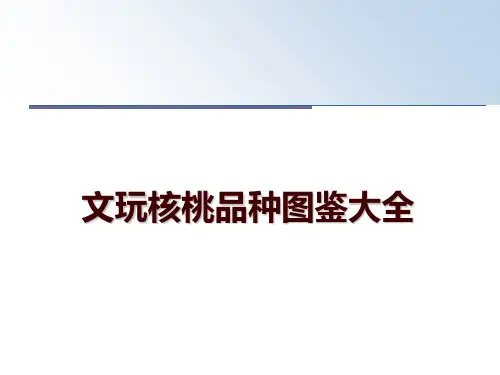 最新文玩核桃品种图鉴大全