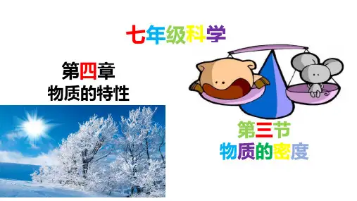 物质的密度(课件)-2022-2023学年七年级科学上册(浙教版)